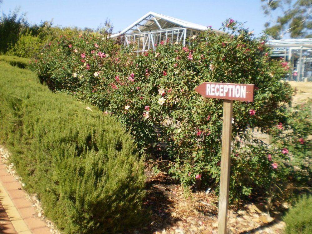 Grandhouse York Guesthouse Esterno foto